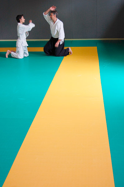 Aikido07-2016_08